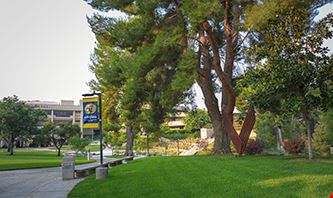 College of the Canyons landscape lawn and trees.