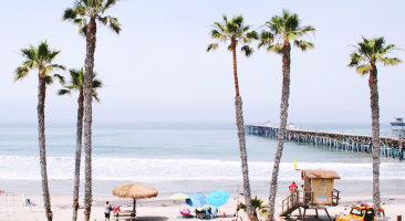 Palm Trees and Pier at San Clemente Beach